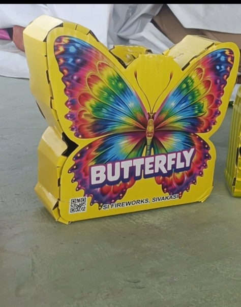 Butterfly 